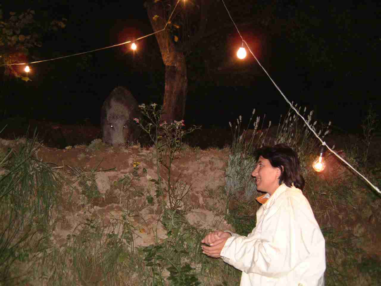  Image name: DSCF0053.JPG 
 width: 1280 pixel 
 height: 960 pixel 
 Size: 54763 bytes 
 Click to enlarge 